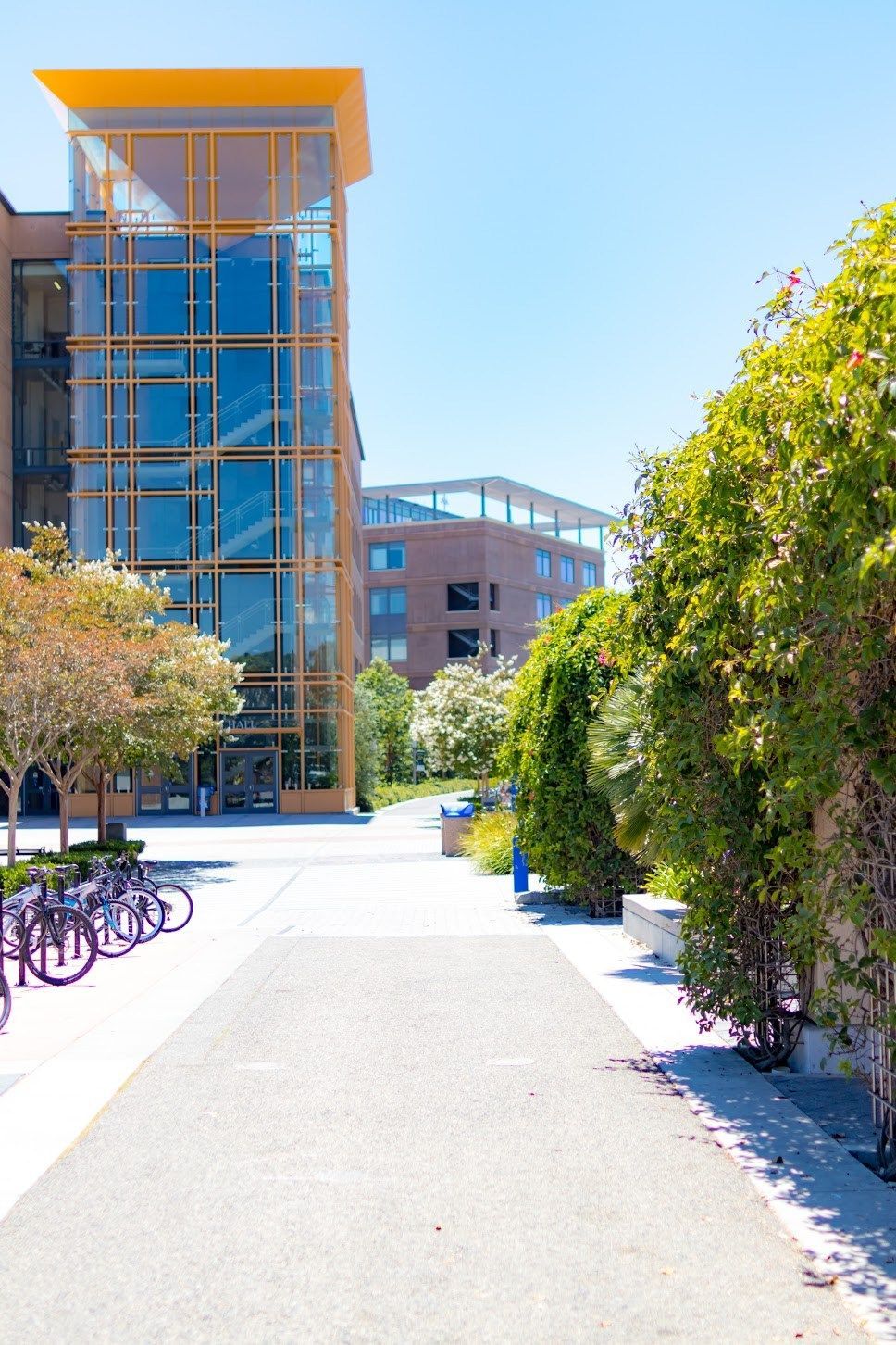 UCI 캠퍼스 내 공대 건물