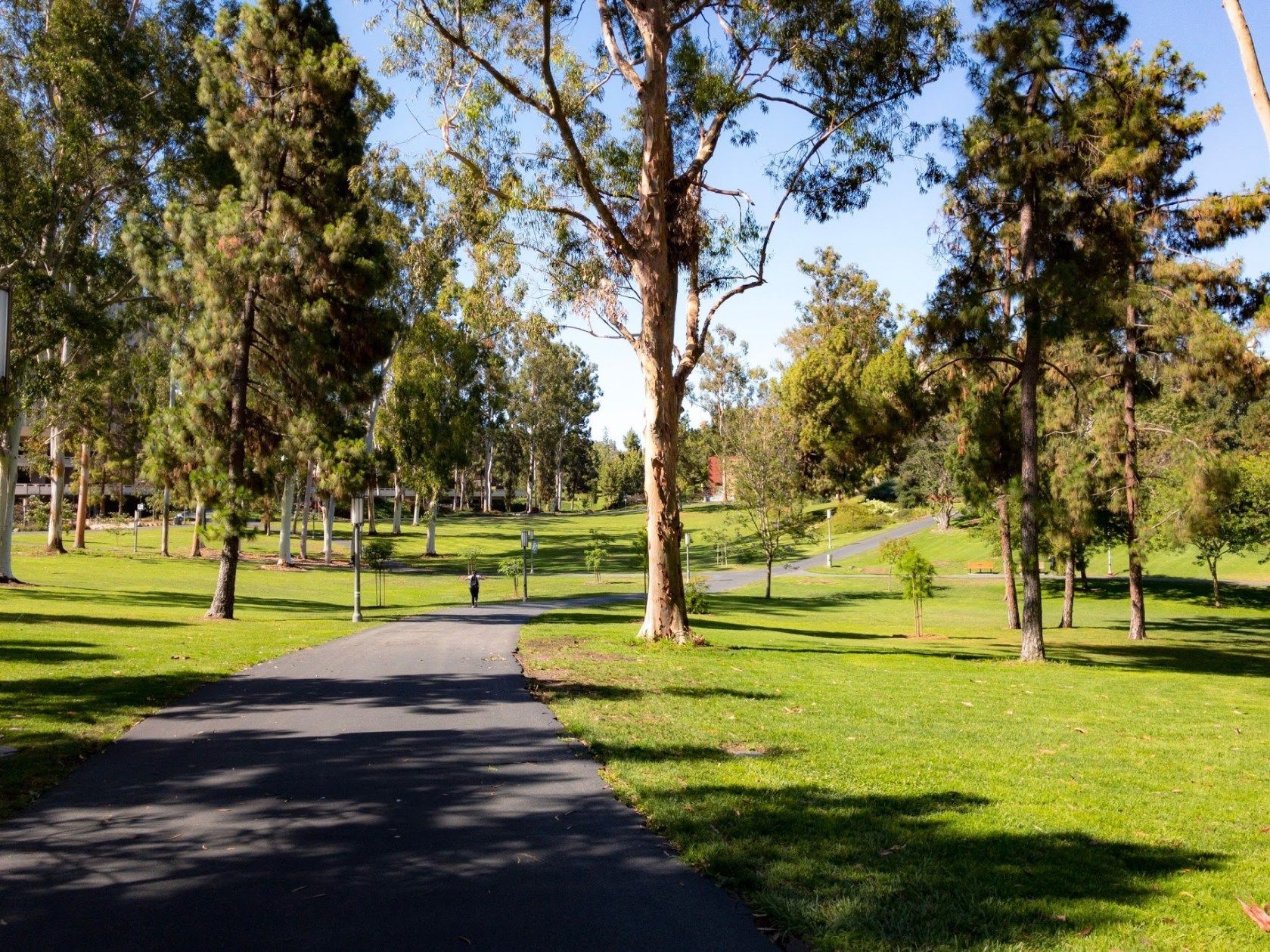 UCI Aldrich Park - 1