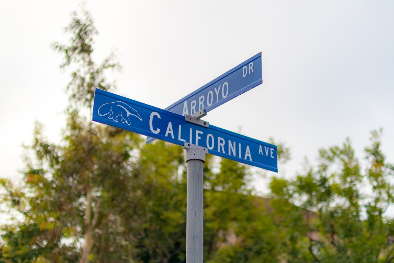 Arroyo Vista 근처 이정표