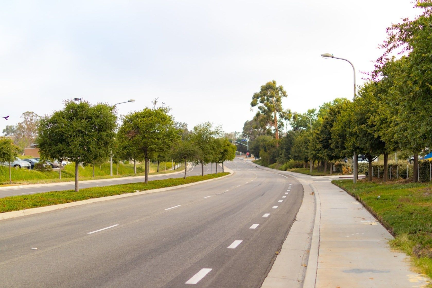 UCI 캠퍼스 내 도로 - 1