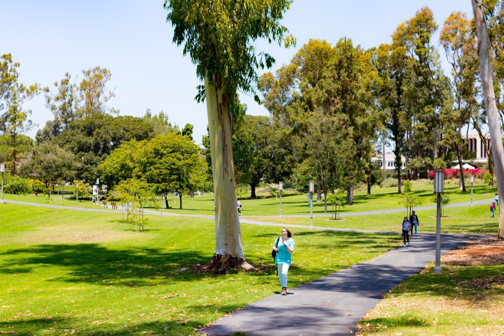 UCI Aldrich Park - 4