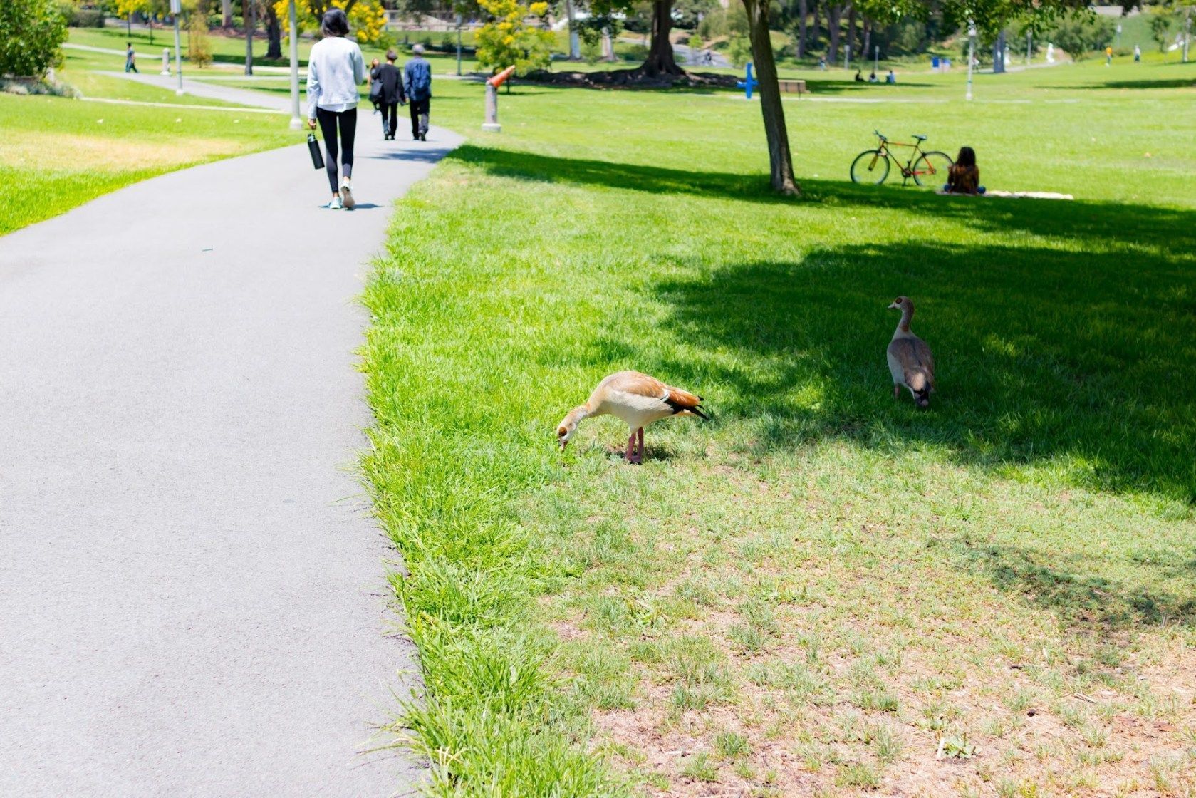 UCI Aldrich Park - 1