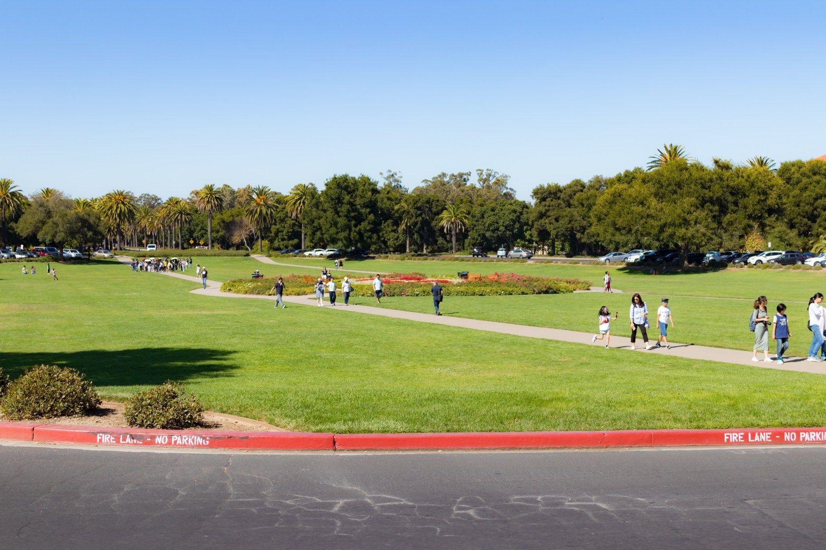 Stanford University - 3