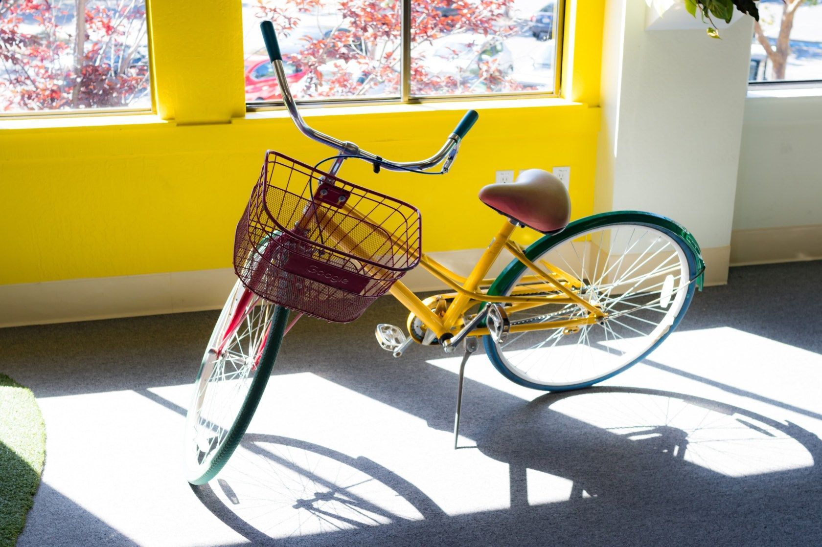 사내 캠퍼스 자전가