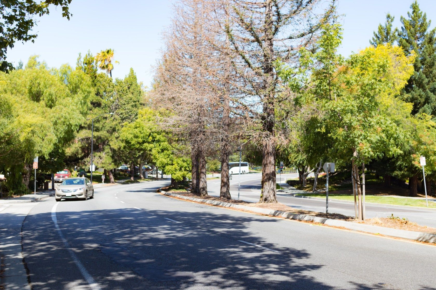 사내 캠퍼스 도로 - 1