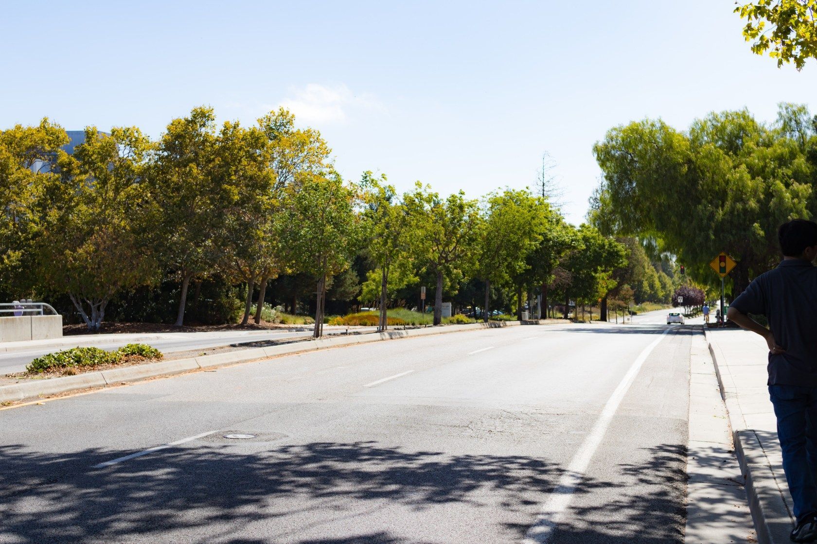 사내 캠퍼스 도로 - 2