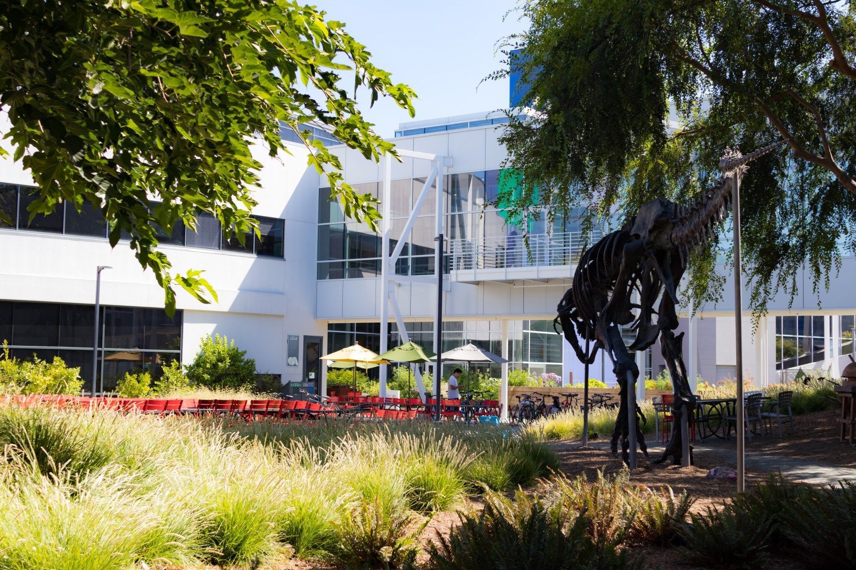 Google Main Campus - 4